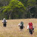 Trekking Auyantepuy