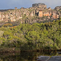 Trekking Auyantepuy con Rappel del Salto Ángel