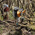 Trekking Auyantepuy con Rappel del Salto Ángel