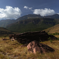 Trekking Auyantepuy con Rappel del Salto Ángel