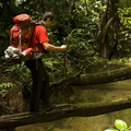 Trekking Auyantepuy con Rappel del Salto Ángel