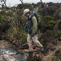 Trekking Roraima, Día de Gran Sabana