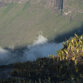 Trekking Roraima, Día de Gran Sabana